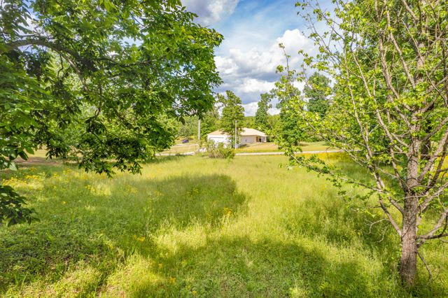 0 Wyshema Court, Mount Pleasant, TN 38474