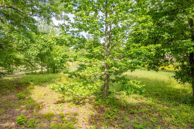 0 Wyshema Court, Mount Pleasant, TN 38474