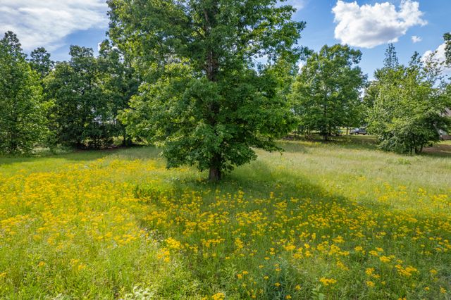0 Wyshema Court, Mount Pleasant, TN 38474