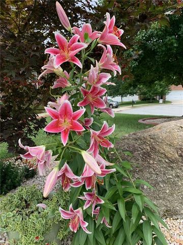 720 Stafford Park Drive, Kernersville, NC 27284