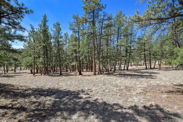 42 Hannah Circle, Westcliffe, CO 81252