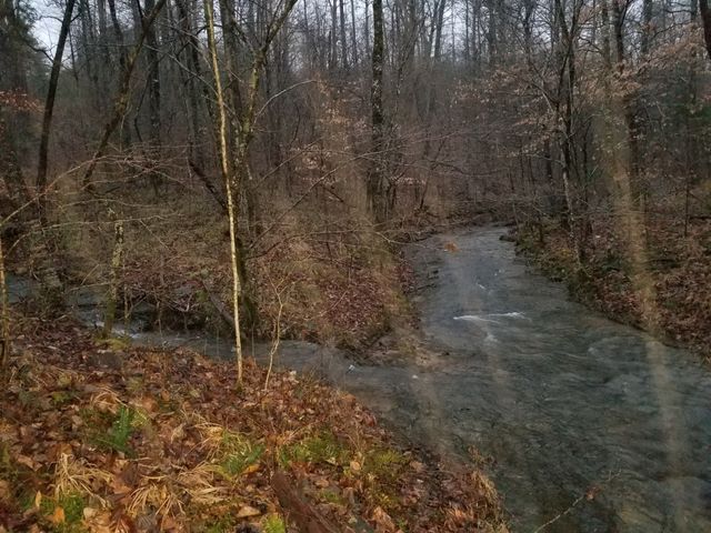 7307 Brush Creek Rd, Fairview, TN 37062