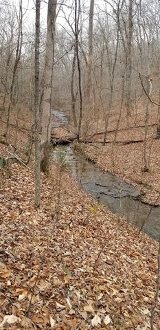 7307 Brush Creek Rd, Fairview, TN 37062