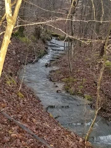 7307 Brush Creek Rd, Fairview, TN 37062