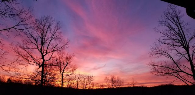 7307 Brush Creek Rd, Fairview, TN 37062