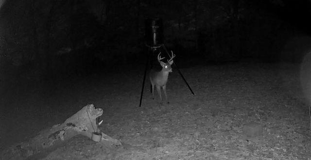 127 Farm Road 1499, Paris, TX 75460