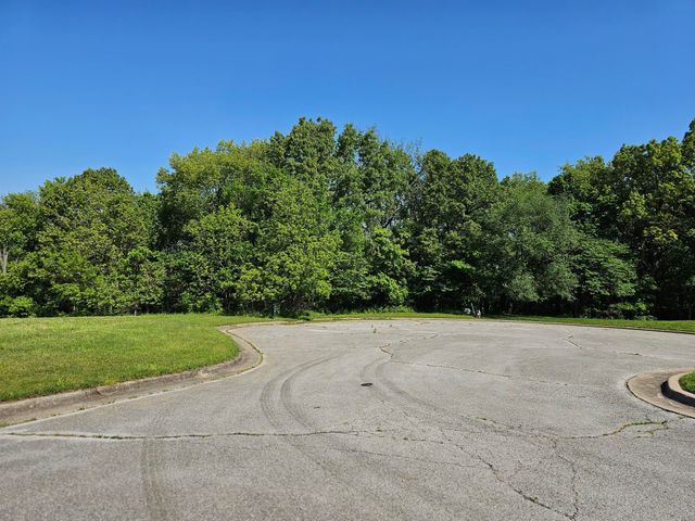 Lot 5 Fox Haven Drive, Mt Vernon, MO 65712