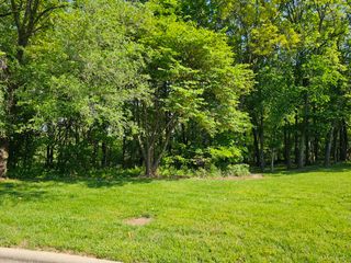 Lot 5 Fox Haven Drive, Mt Vernon, MO 65712