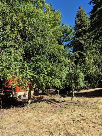 165 Coffeeberry Drive, Boulder Creek, CA 95006