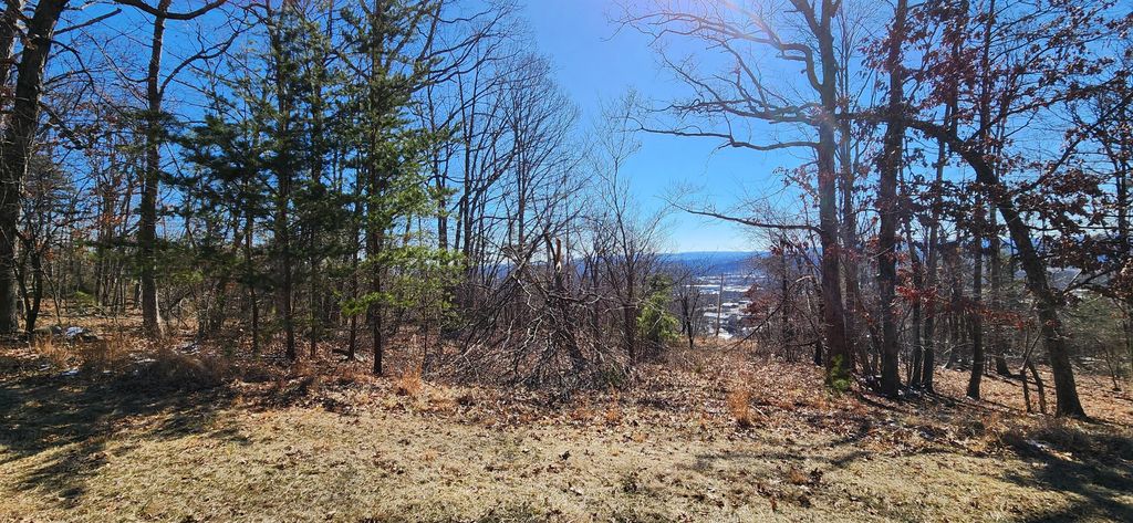 Lot 46 Summit DR, Rocky Mount, VA 24151