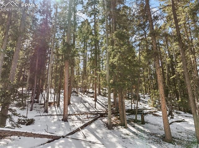 358 Pawutsy Road, Florissant, CO 80816