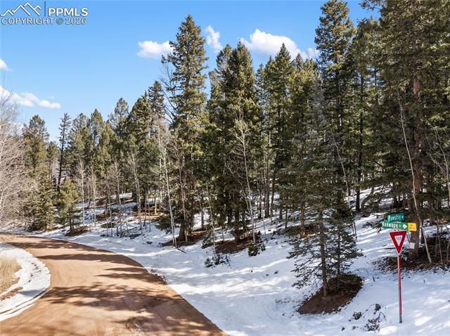 358 Pawutsy Road, Florissant, CO 80816