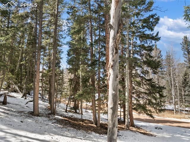 358 Pawutsy Road, Florissant, CO 80816