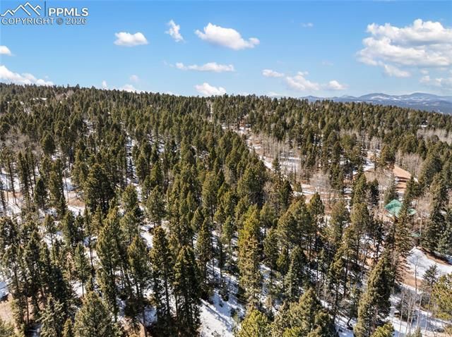 358 Pawutsy Road, Florissant, CO 80816