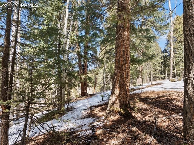 358 Pawutsy Road, Florissant, CO 80816