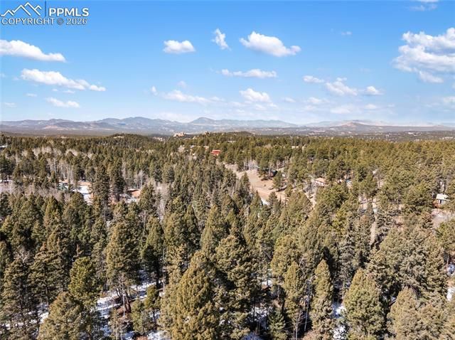 358 Pawutsy Road, Florissant, CO 80816