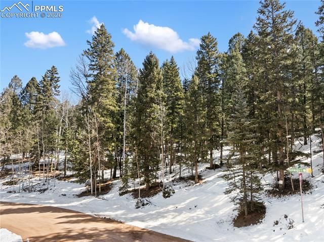 358 Pawutsy Road, Florissant, CO 80816