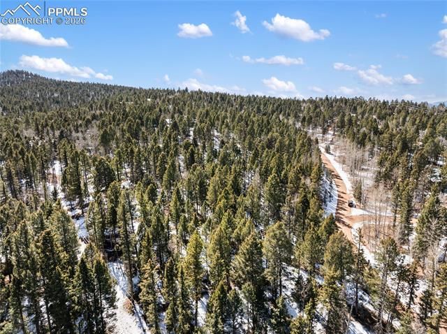 358 Pawutsy Road, Florissant, CO 80816