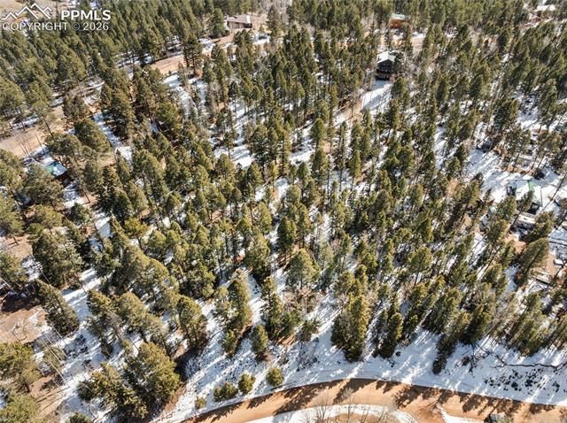 358 Pawutsy Road, Florissant, CO 80816