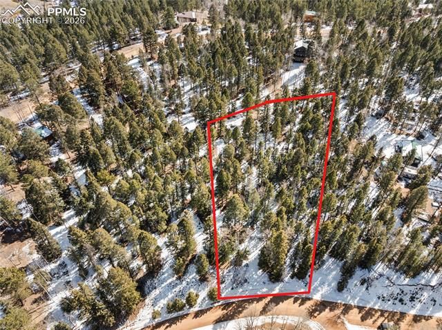 358 Pawutsy Road, Florissant, CO 80816