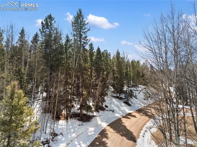 358 Pawutsy Road, Florissant, CO 80816
