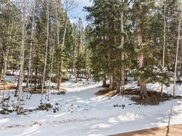 358 Pawutsy Road, Florissant, CO 80816