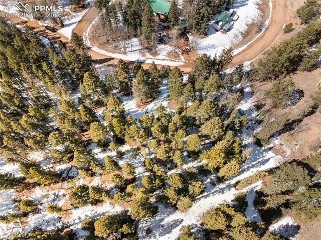 358 Pawutsy Road, Florissant, CO 80816