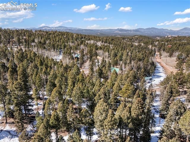 358 Pawutsy Road, Florissant, CO 80816