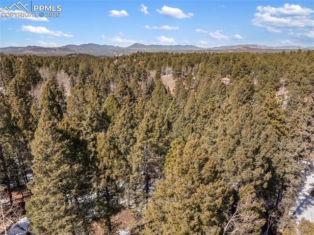 358 Pawutsy Road, Florissant, CO 80816