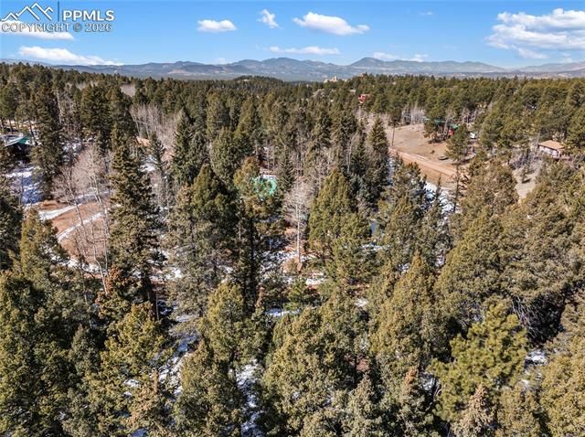 358 Pawutsy Road, Florissant, CO 80816