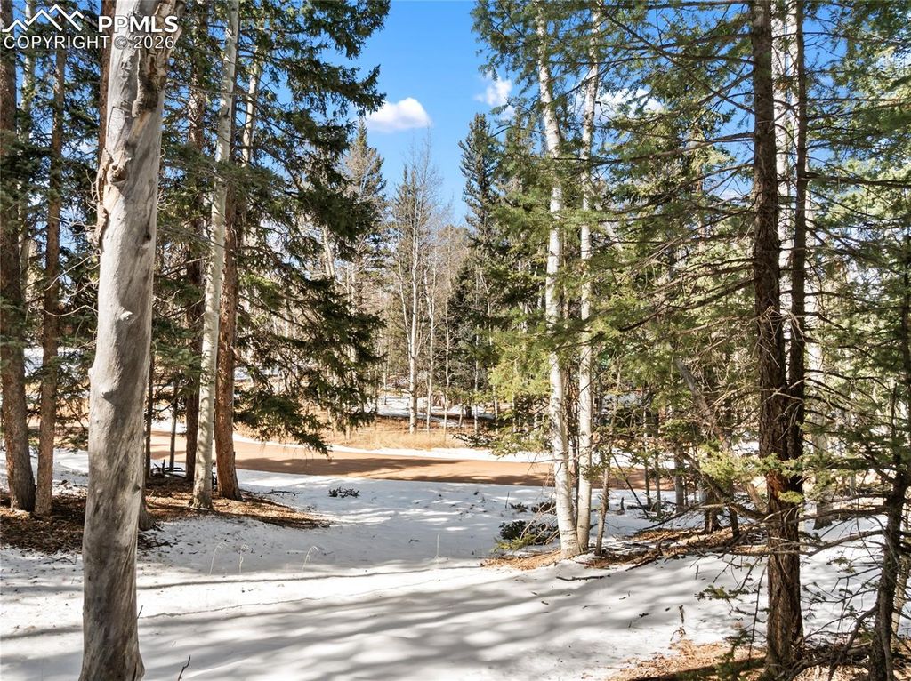 358 Pawutsy Road, Florissant, CO 80816