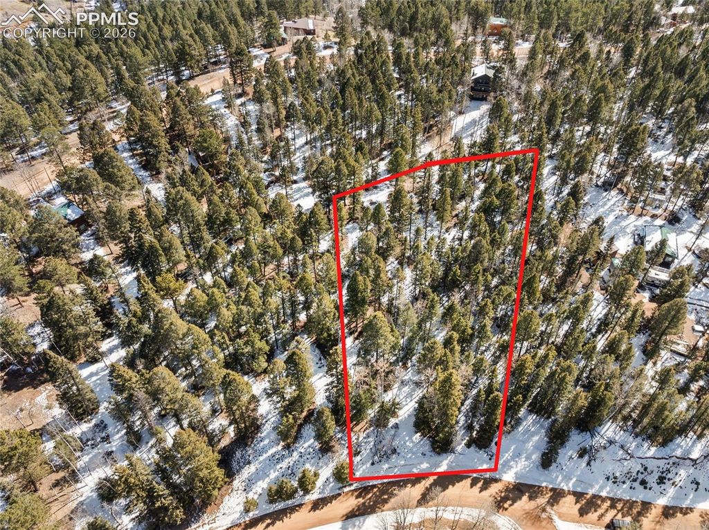 358 Pawutsy Road, Florissant, CO 80816 — photo 3