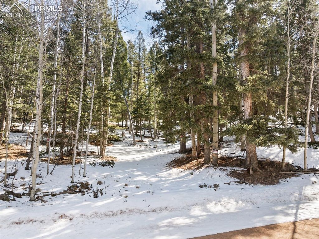 358 Pawutsy Road, Florissant, CO 80816 — photo 5