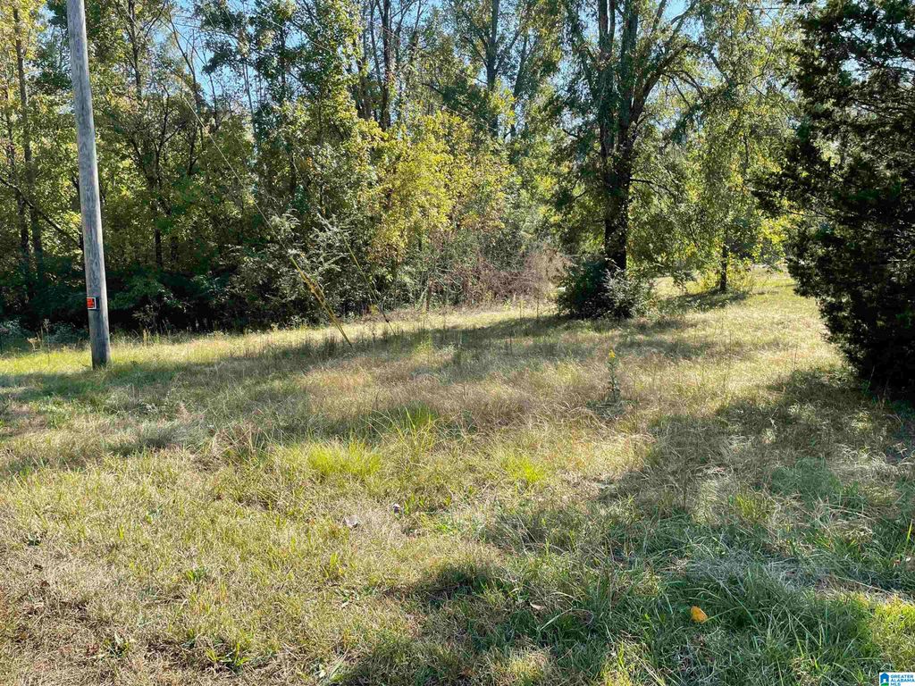 2356 MITCHELLVILLE ROAD, Lincoln, AL 35096