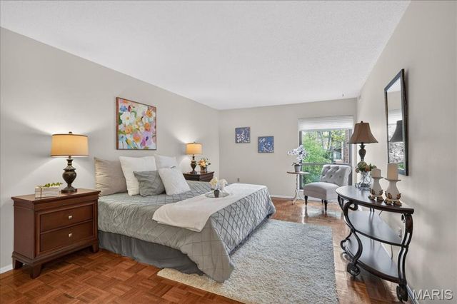539 Coeur De Royale Drive 204, Creve Coeur, MO 63141