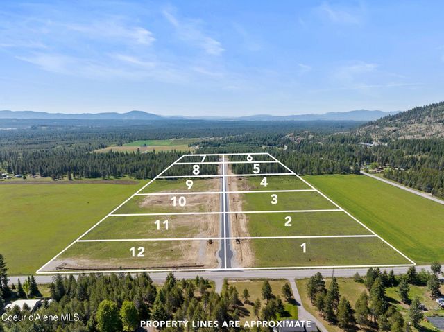 3 Ellington Ct, Athol, ID 83801