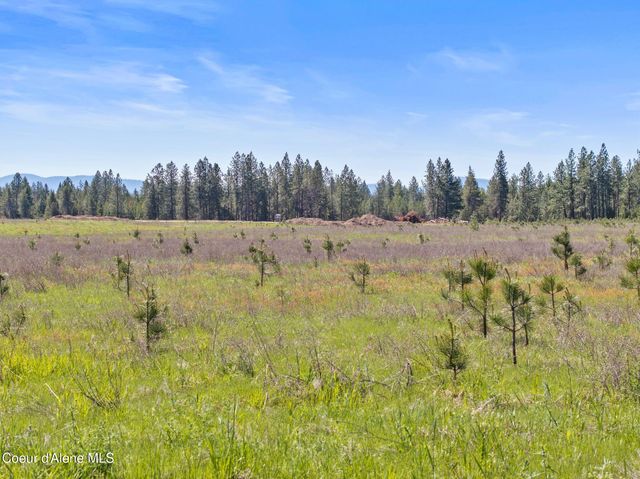 3 Ellington Ct, Athol, ID 83801