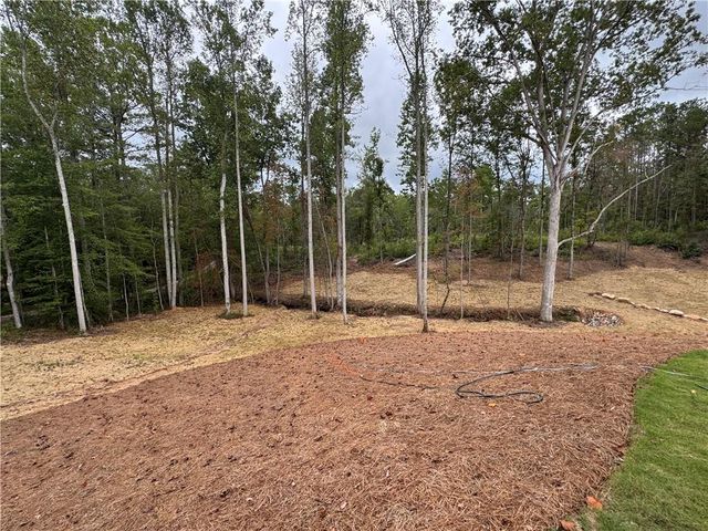 262 Corinth Five Points Road, Buchanan, GA 30113