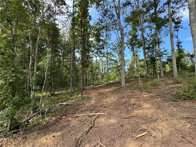 262 Corinth Five Points Road, Buchanan, GA 30113