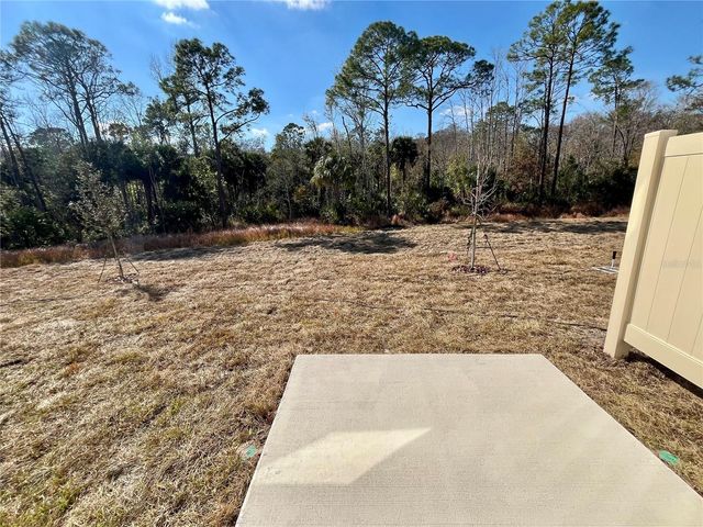 2811 SKYLINE LOOP, Kissimmee, FL 34758