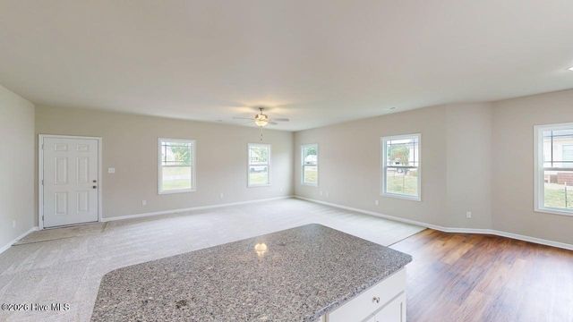 202 Grace'S Farm Road, La Grange, NC 28551