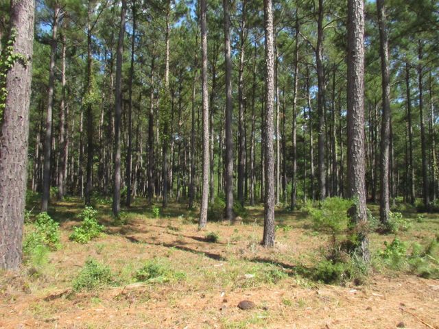 0004 Fm 256 N, Woodville, TX 75979