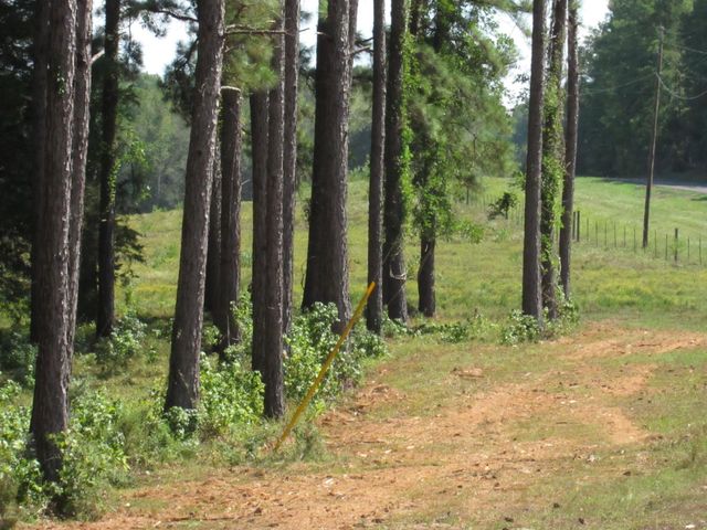 0004 Fm 256 N, Woodville, TX 75979