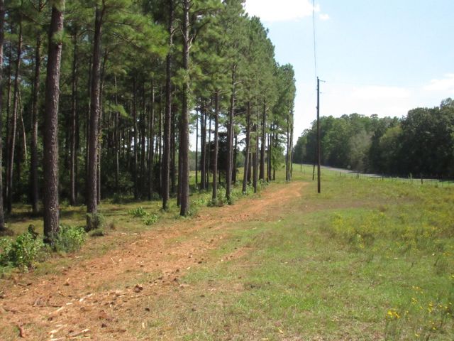 0004 Fm 256 N, Woodville, TX 75979