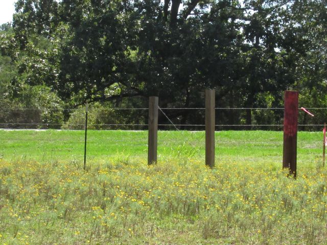 0004 Fm 256 N, Woodville, TX 75979