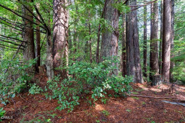 41600 Comptche Ukiah Road, Mendocino, CA 95460