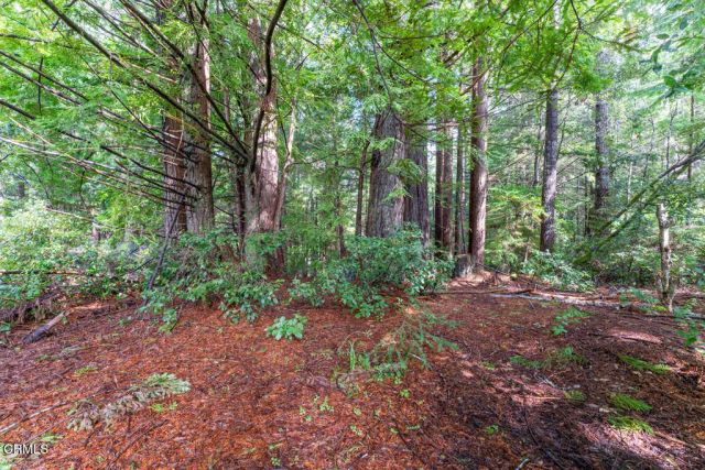 41600 Comptche Ukiah Road, Mendocino, CA 95460