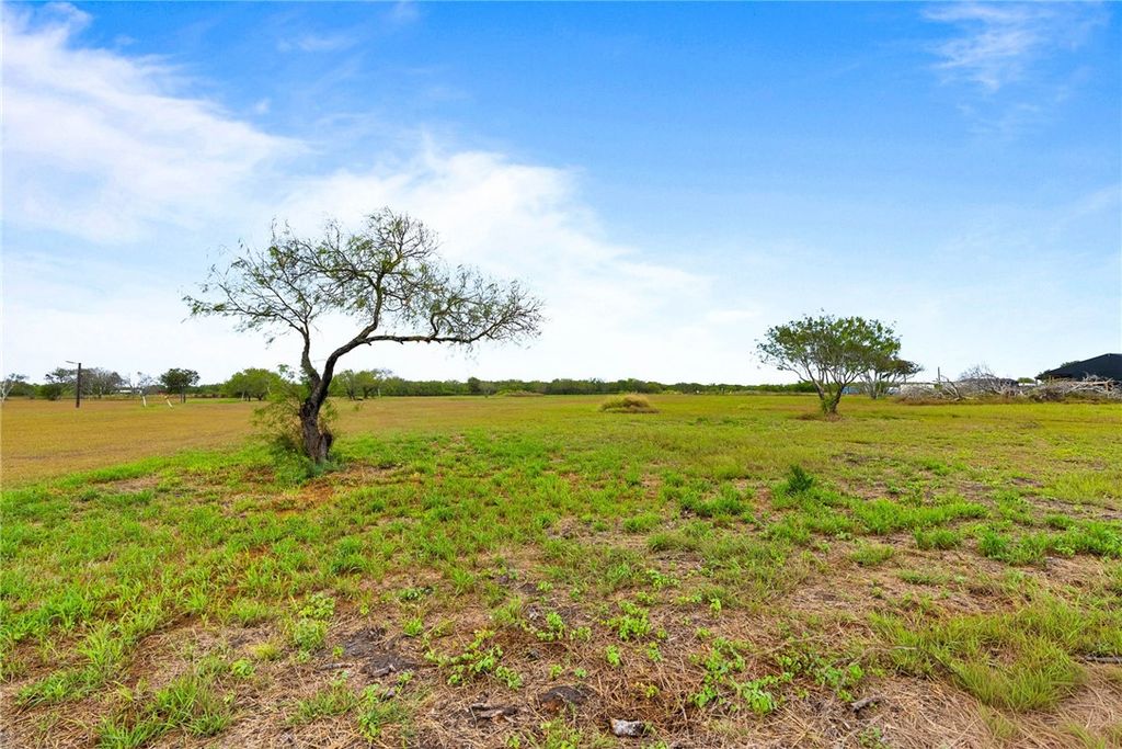 13778 County Road 1694, Odem, TX 78370 — photo 5