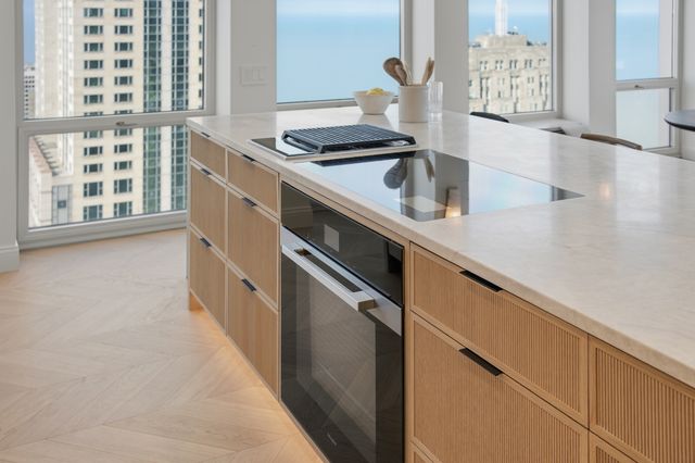 111 E Chestnut Street PH-AB, Chicago, IL 60611