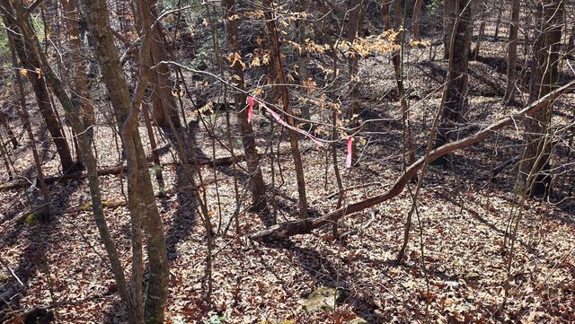 Lt 11 Mountain Laurel Est., Young Harris, GA 30582